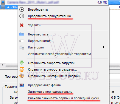 Как справиться с ошибкой при скачивании торрента